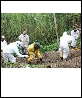 Exhuming of bodies